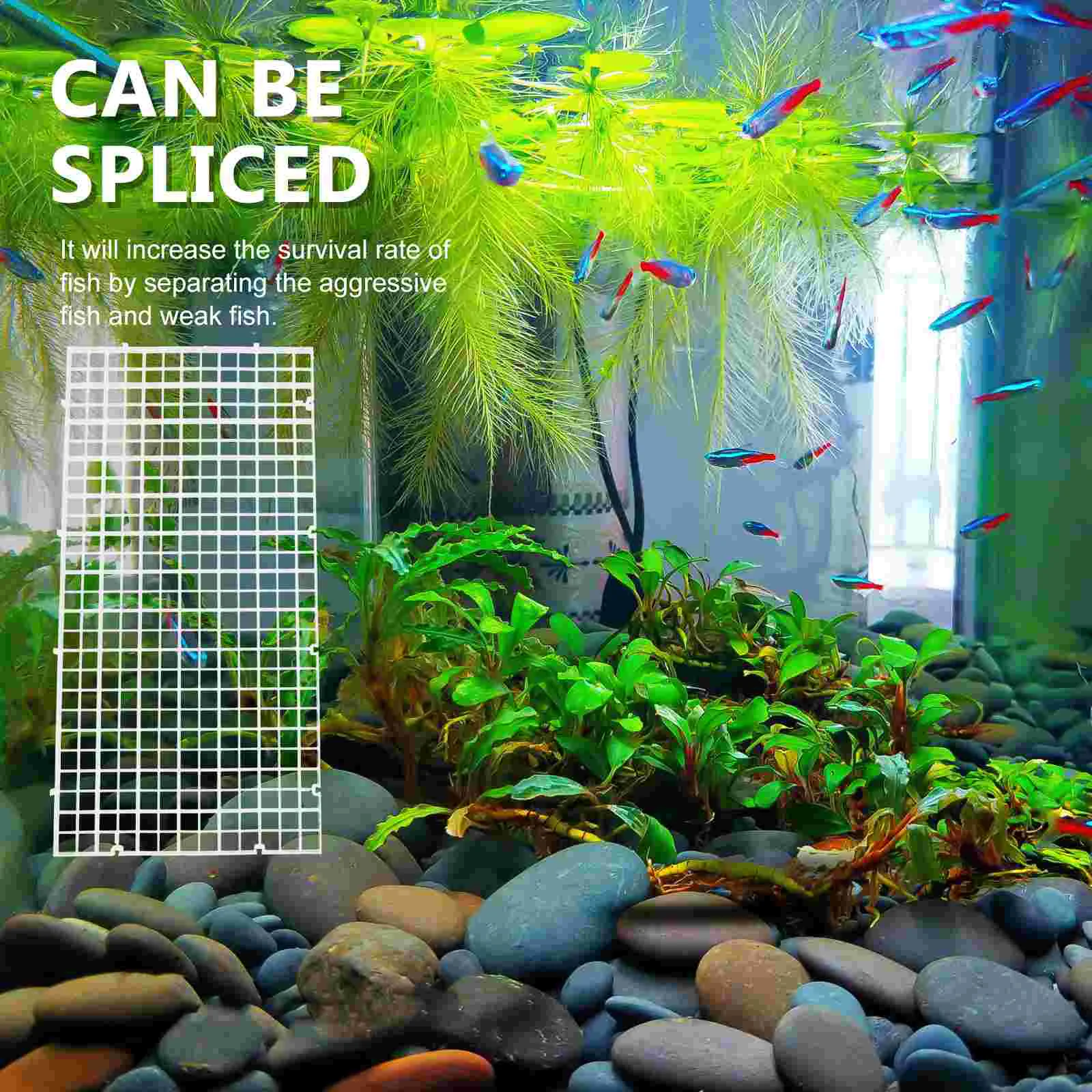 Изолирующая доска для аквариума разделитель на присоске чехол разведения