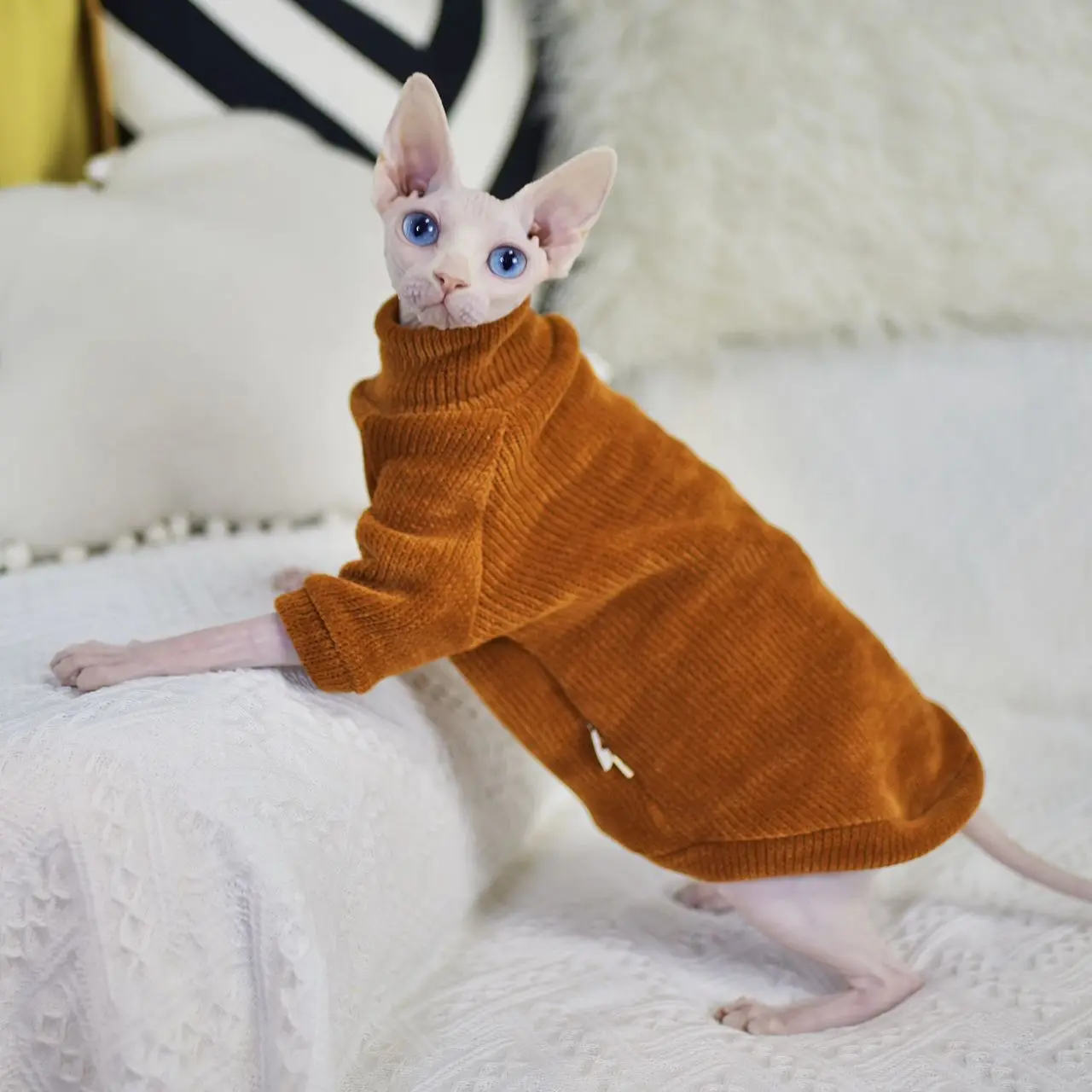 

Comfortable Soft Chenille Velvet Sphynx Hairless Cat Clothes Winter German Clothes Dog Clothes for Small Dog Sweater Puppy Pet