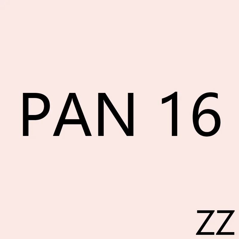

PAN ZZ 16