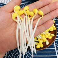 simulation soybean sprout seedlings mung bean sprouts model food vegetables model home decoration diy craft decoration