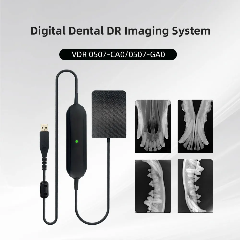 JINGT Digital Dental DR lmaging System Специальный цифровой датчик для домашних животных Датчик 4