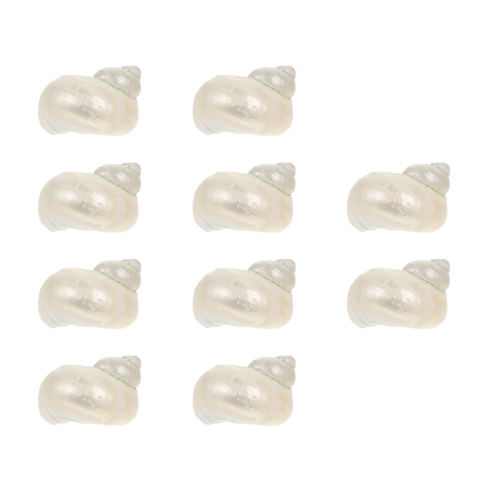 

Shells Hermit Fish Crab Conch Tank Shell Decorations Decor Aquarium Nature Crabs Ornaments Natural Supplies Themed Diy Adorn
