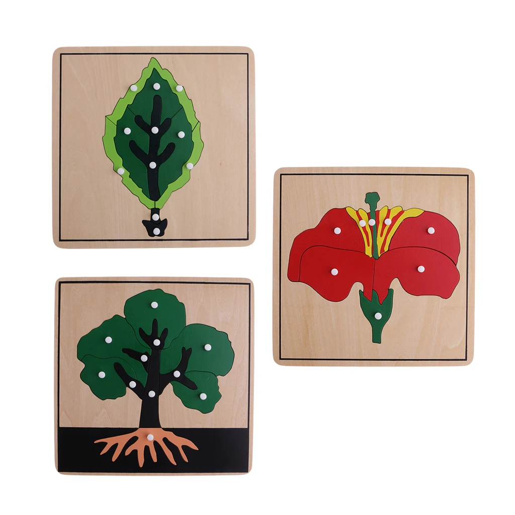 Montessori Botany Material - 3 Plant Shape Puzzles for Kids Educational Toys