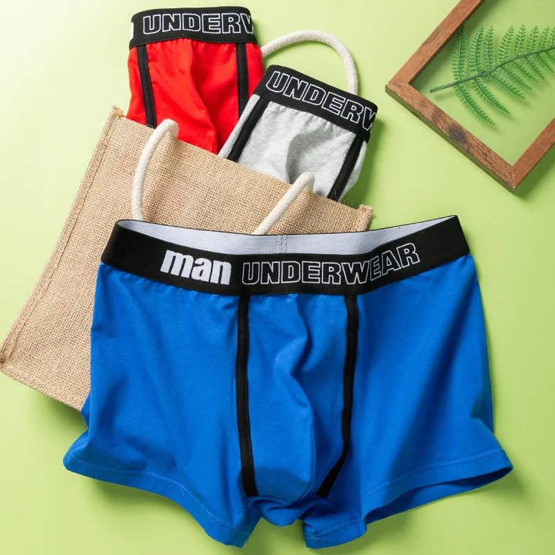 Mens Boxers Underwear Shorts Underpants Printed Men Boxer Cotton Soft Male Panties Homme Underwear Boxers Transparentes Hombre