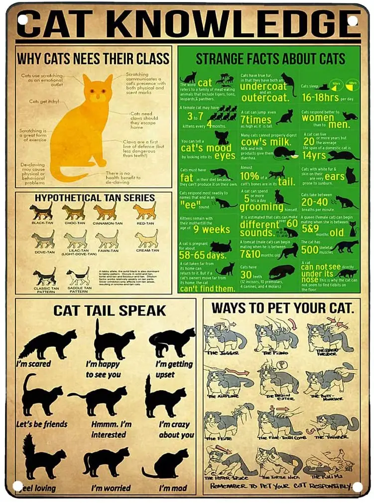 

CBD QUICK REFERENCE Knowledge Tin Sign No Frame, Cat Breeds Wall Art, Kitten Guide Facts About Cat, Cat Lover Gifts