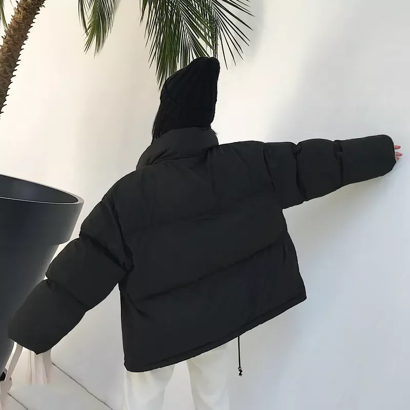 Style 2022 Winter Parkas Women Stand Collar Solid Black White Female Down Coat Loose Womens Short Parka traf