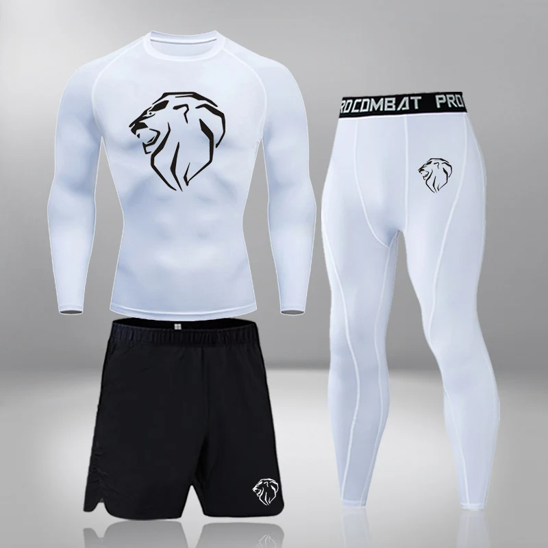 

Men Sportswear Suits Quick Dry Running Sets Men T-shirts + Sport Shorts Training Men Jogging Gym Fitness Leggings Sport Shirts