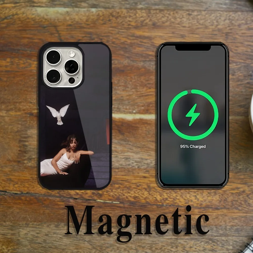 Чехол для телефона Singer PinkPantheress Magsafe Magnetic iPhone 11 12 13 14 15 Pro Max Plus с беспроводной
