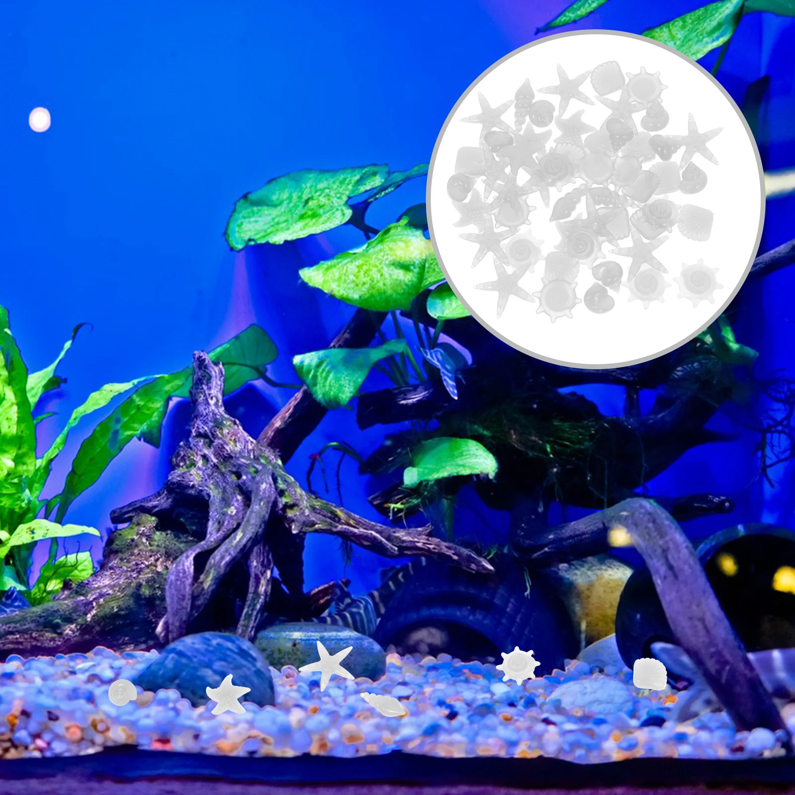 

Glowing Stones Fish Tank Fluorescent Cumpleaños Para Noctilucent Rocks