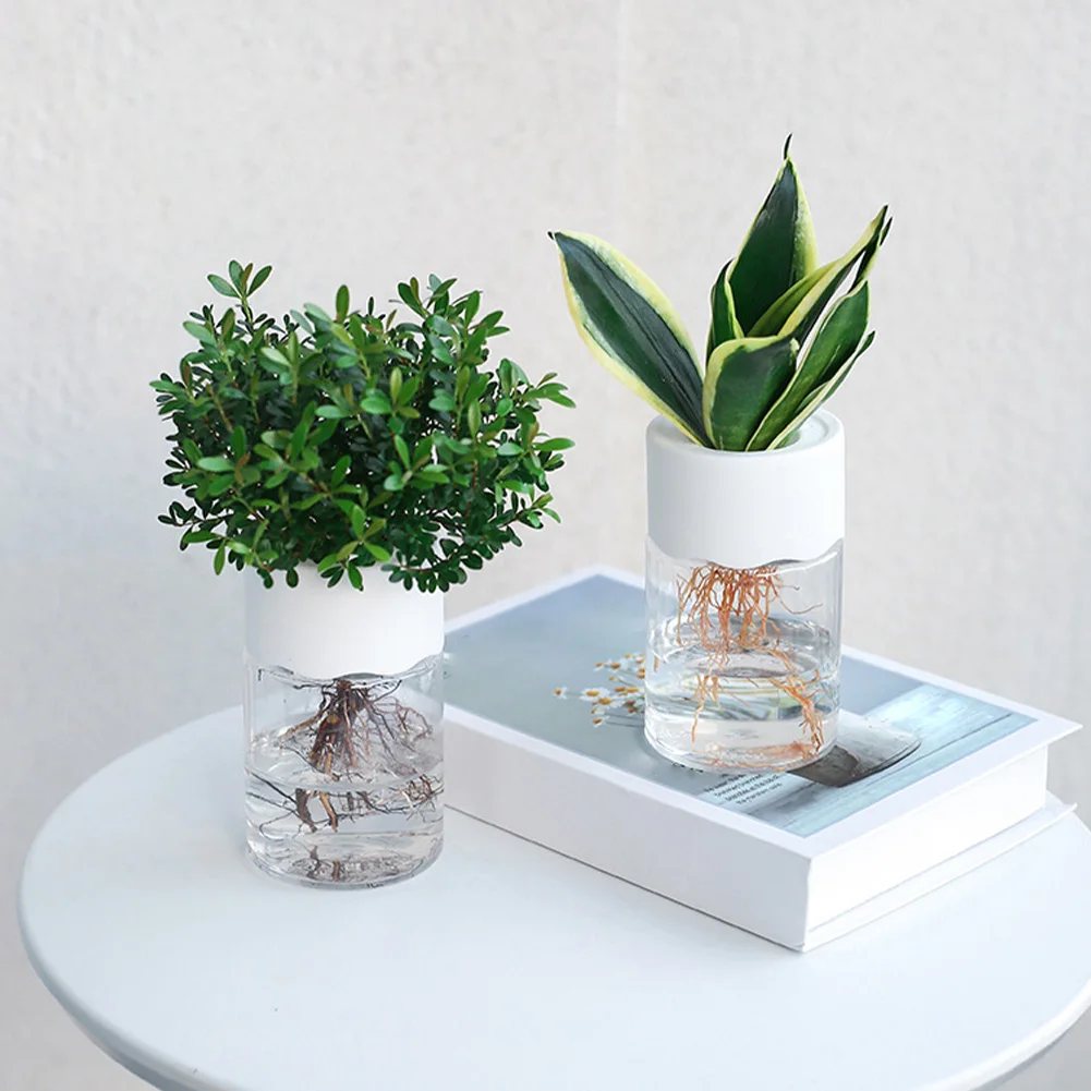 

Transparent Hydroponic Flower Pot Water Planting Vase Container Plastic Tabletop Plants Bonsai Home Decoration