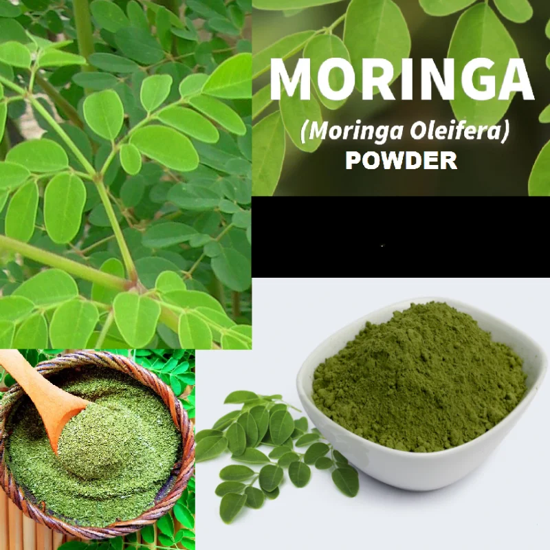 

100g/200g/500g/1000g Moringa Powder Organic Oleifera Leaf Natural Pure Non GMO