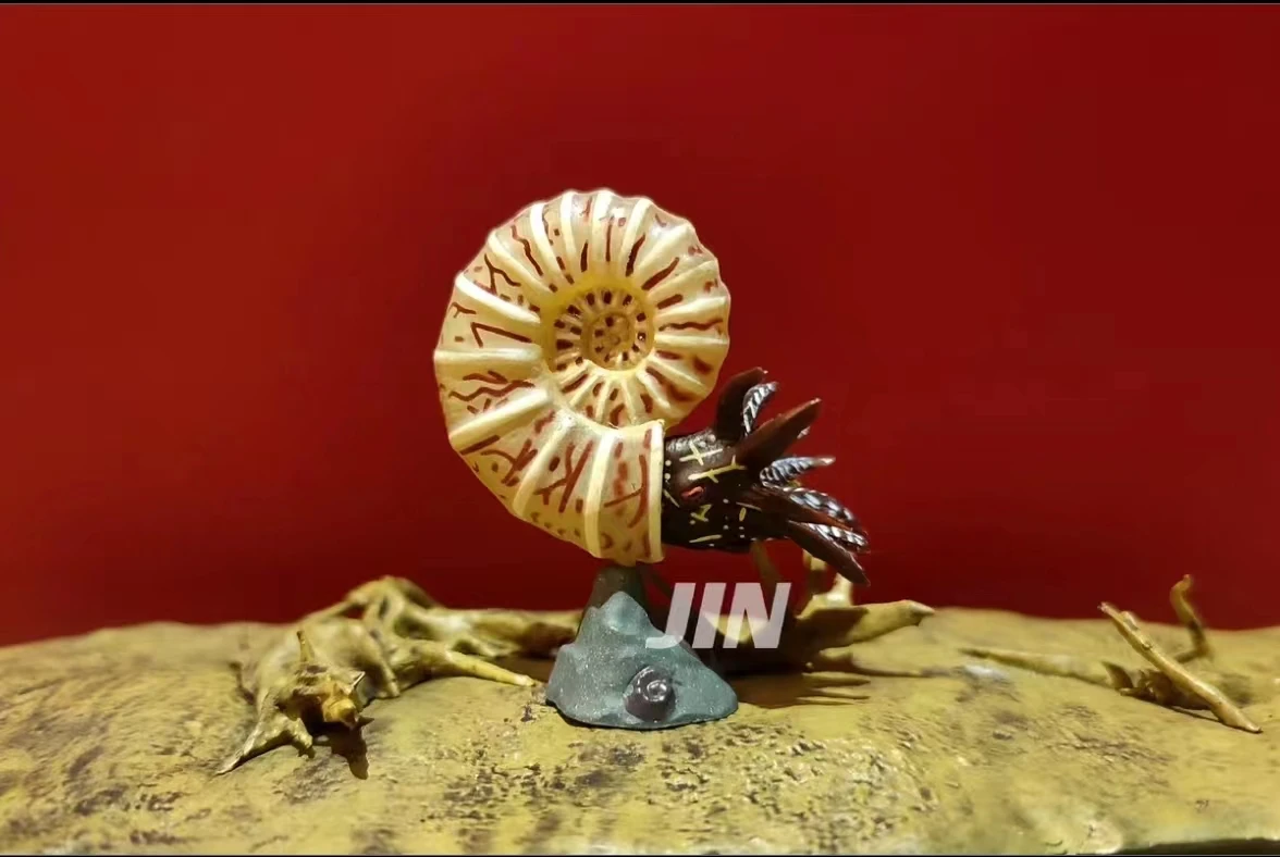 

Miniature model mini ammonoid