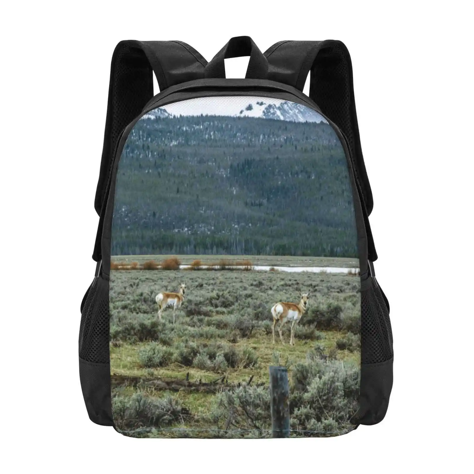 I Was Lookin' Back To See Hot Sale Backpack Fashion Bags Antelope Pronghorn Wild Animals Custer County Idaho Salmon River