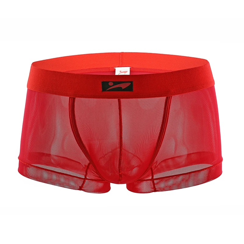 Men Boxer Mesh Sexy Underwear Transparent Panties Breathable Ultra Thin See-through Low Waist Slip Hombre U Convex Underpants