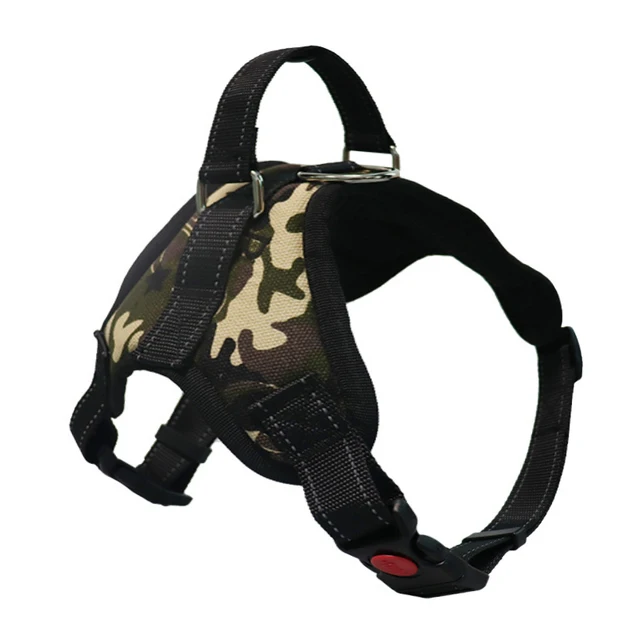 Big Dog k 9 250