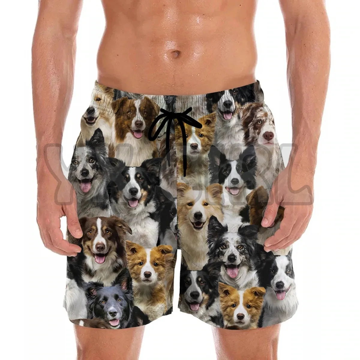 You get a lot of Border Collies   shorts 3D All Over Printed Men's Shorts Quick Drying Beach Shorts Summer Beach Swim Trunks