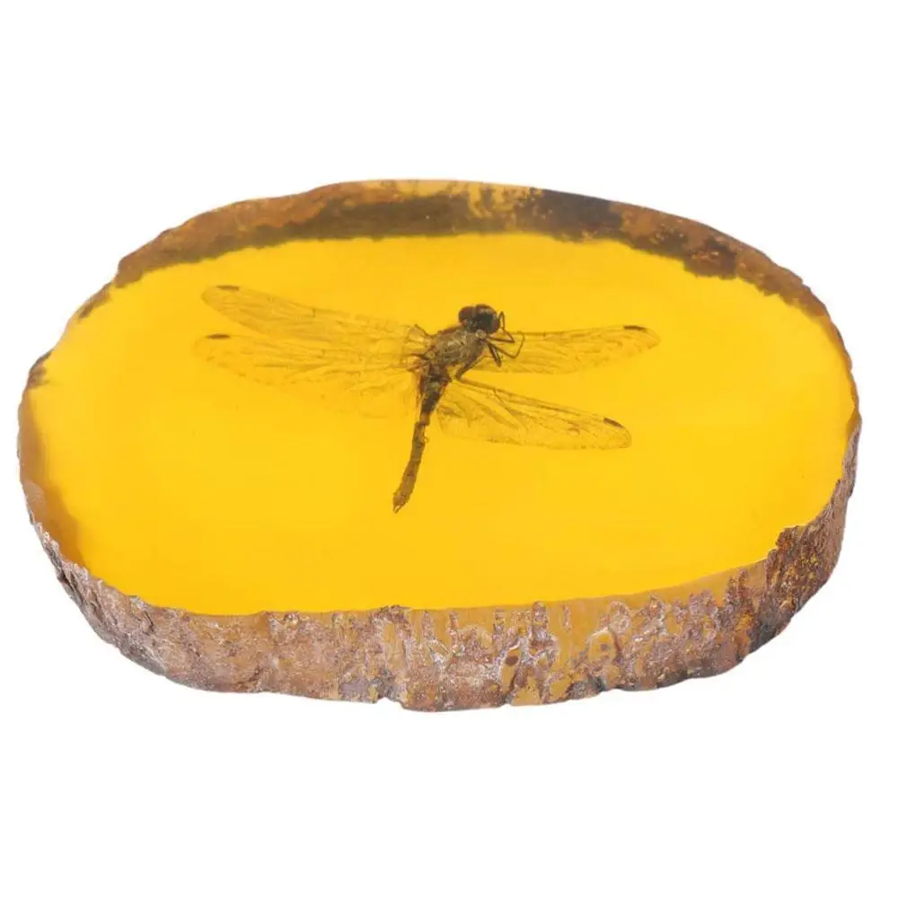 

Home Crafts Decor Collection Chinese Beautiful Amber Manual Dragonfly Polishing Insects Gift Exquisite D9e2