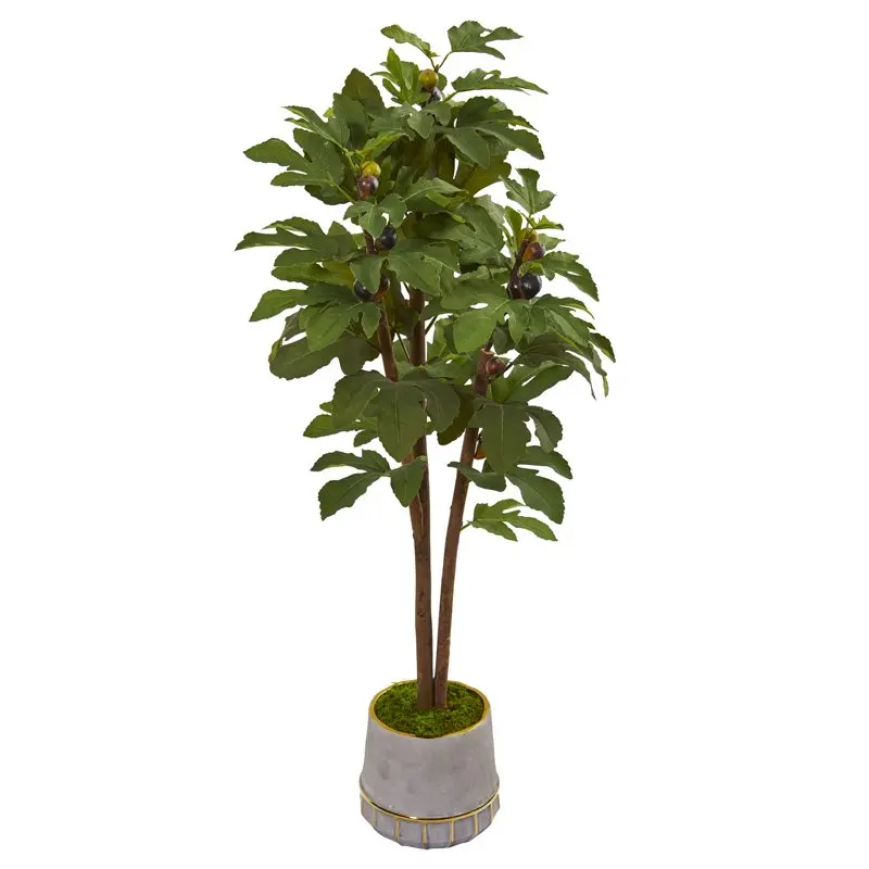 

Fig Artificial Tree in Stoneware Vase with Gold Trimming, Green