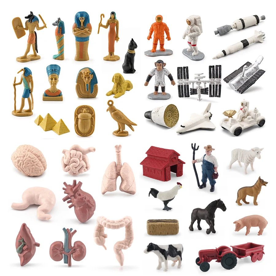 

Realistic Montessori Ancient Egypt,Human Body Organs,Outer Space Scene,Down on the Farm Playset Miniature Educational Toys