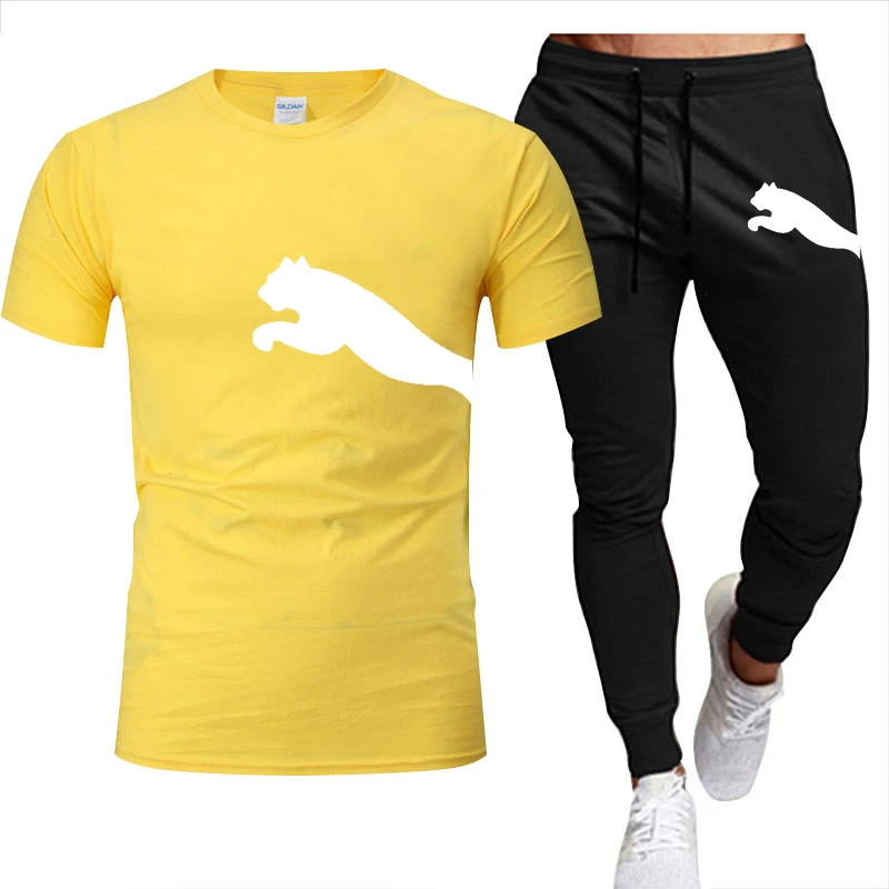 Костюм мужской спортивный из футболки и брюк хлопок короткий рукав брендовый