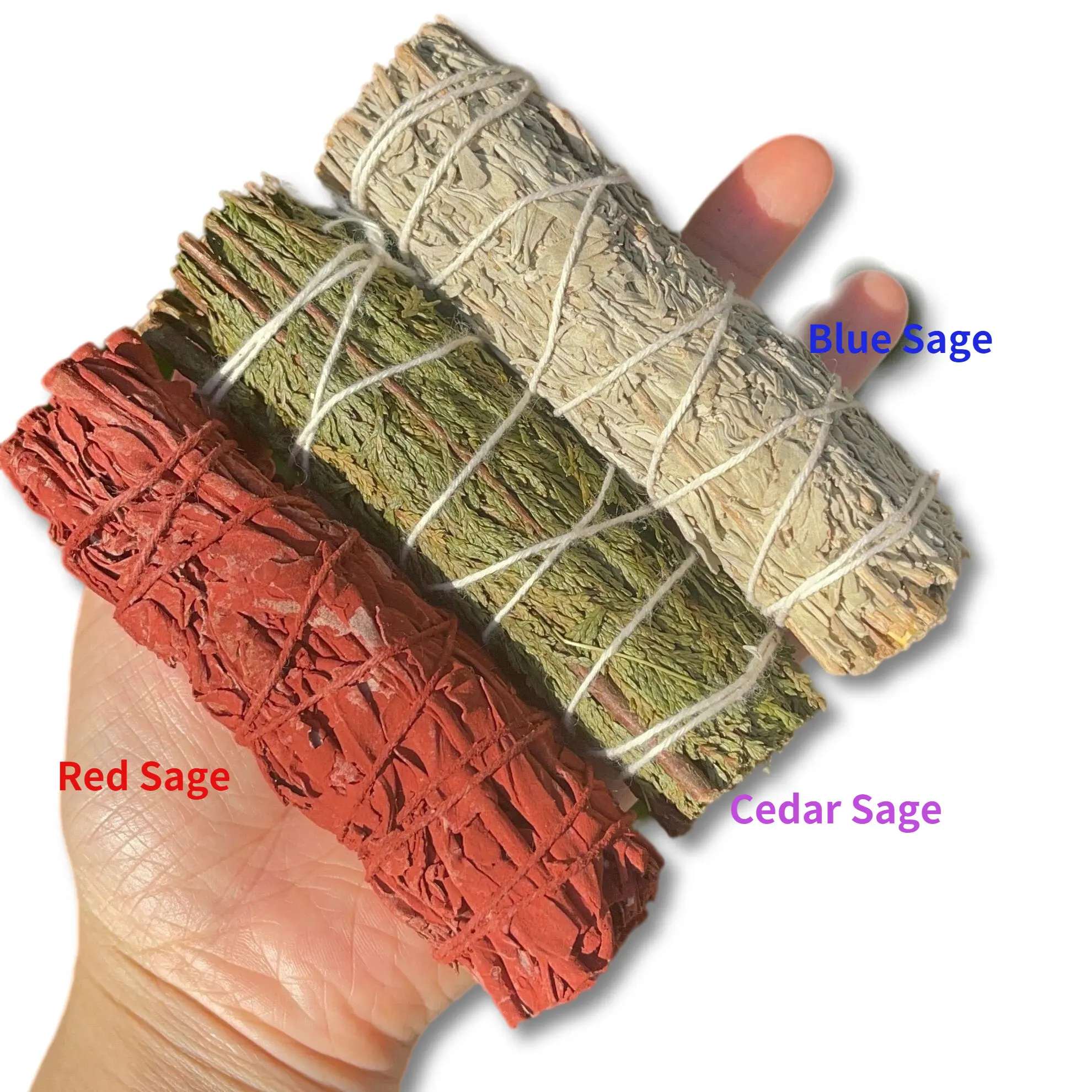 

4" Blue Sage Stick Dragons Blood Red Sage Cedar Incensedried Sage Bundle Energy Cleansing Stick