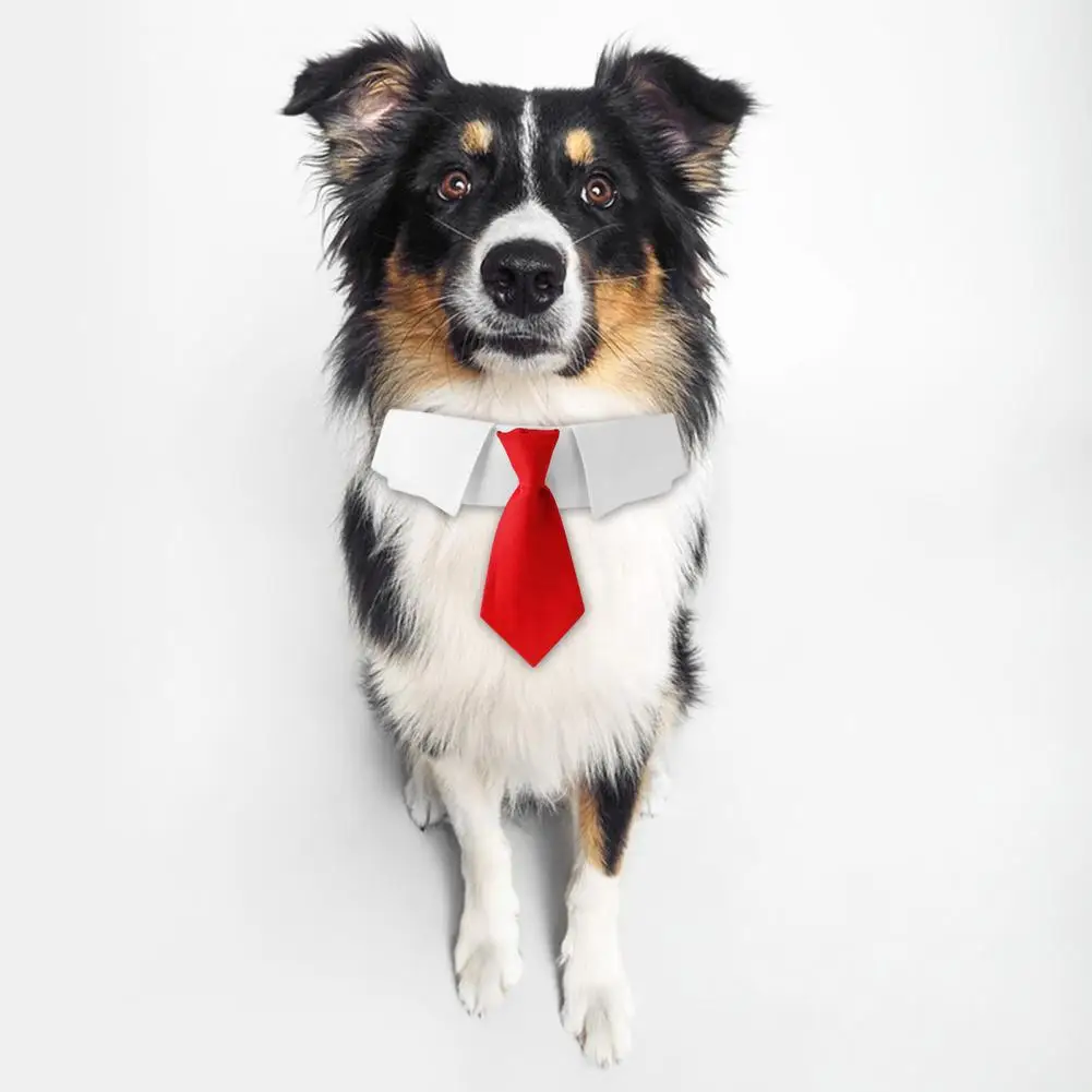 

Ожерелье для милой собаки с нежной текстурой, удобное ожерелье для собаки, кошки, домашнего питомца в полоску, ошейник для домашнего питомца, ежедневное сочетание