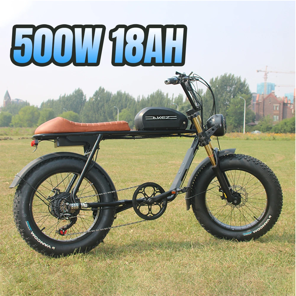 

Electric Bike for Adults 500W Electric Bicycle 20 Inch Fat Tire Ebike 48V 18Ah Removable Battery Off Road Mountain Snow Bicycles