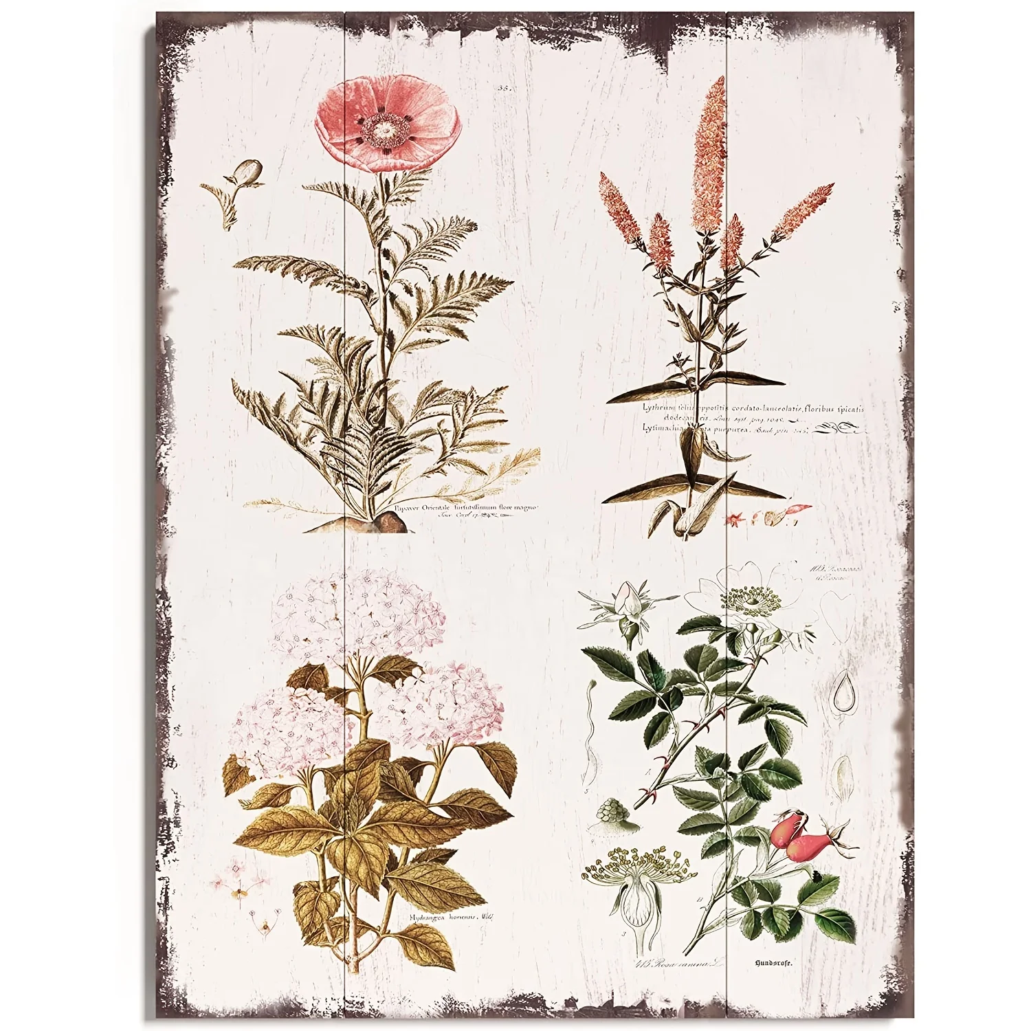 

Vintage Florals Botanical Primitive Country Farmhouse Home Decor Sign 12x8in