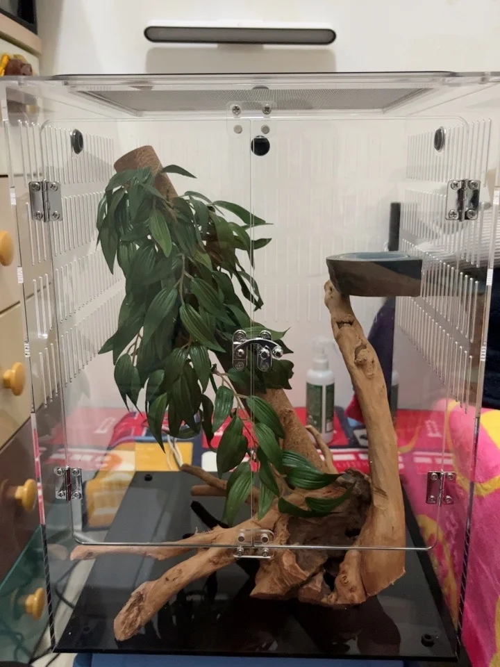 Дышащая рептилия акриловый дисплей внешний корпус акриловая клетка Террариум