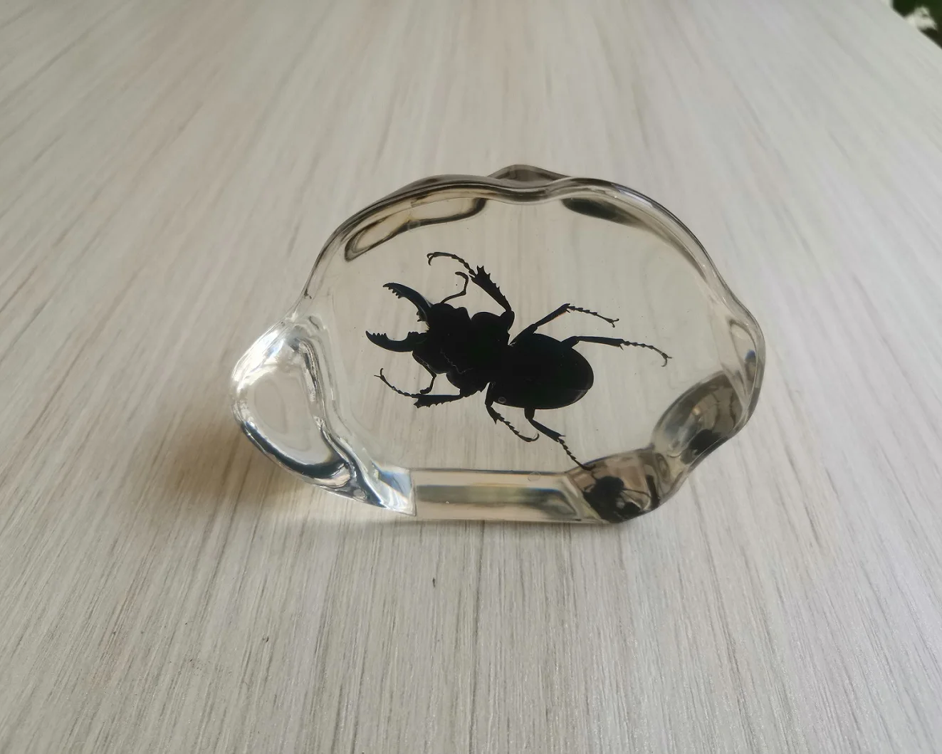 Янтарный образец насекомых эпоксидная смола пауки жуки модель скорпиона