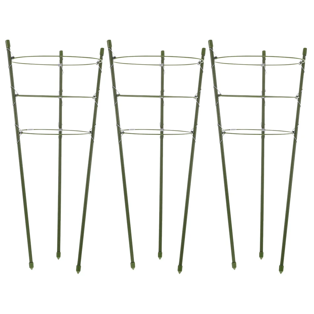 

Houseplants Pot Trellis Garden Climbing Plants Outdoor Vine Rack Potted