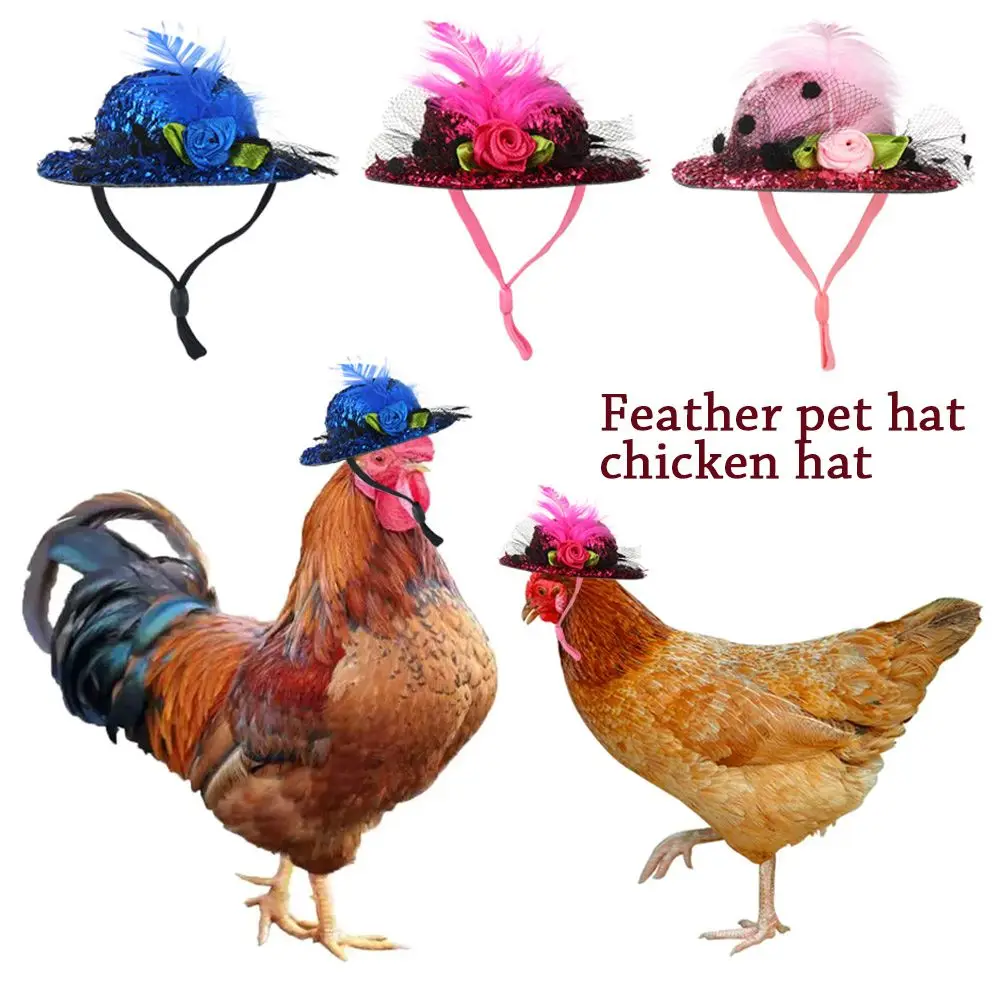 

Шляпка для кур, стильная шляпка с пером для маленьких домашних животных, регулируемым эластичным ремешком, для птицы, петуха, утки, попугая