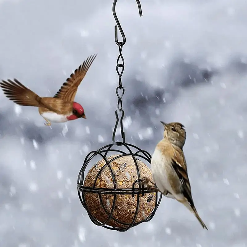 

Ball Bird Feeder Hanging Ball Suet Nugget Feeders For Outside Bird Feeder Attract A Variety Of Outdoors Wild Birds Feeders 4pcs