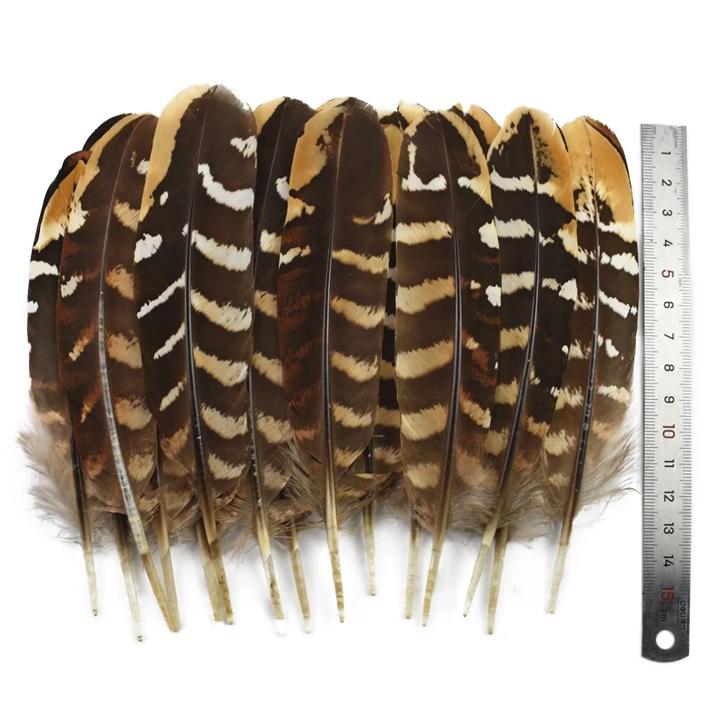 

10Pcs Rare Natural Eagle Pheasant Feathers for Crafts Birds Feather Crafts Handicraft Carnival Accessories Artificial Decoration