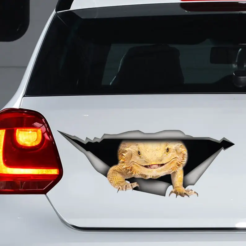 

Bearded dragon car decal, Beardie car decal, Bearded dragon magnet