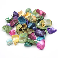 natural shell beads irregular colorful shell with hole charms for jewelry making women gift necklace bracelet
