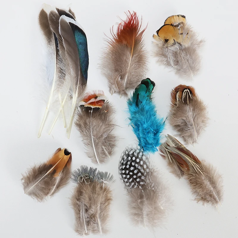 50 шт. смешанная упаковка перо фазана павлина орел маленький шлейф для поделок