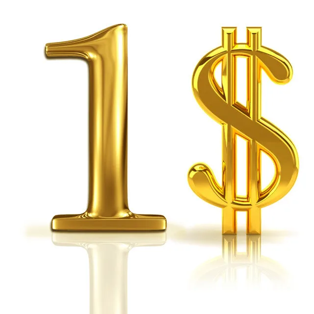 

Additional Pay on Your Order or shipping fee