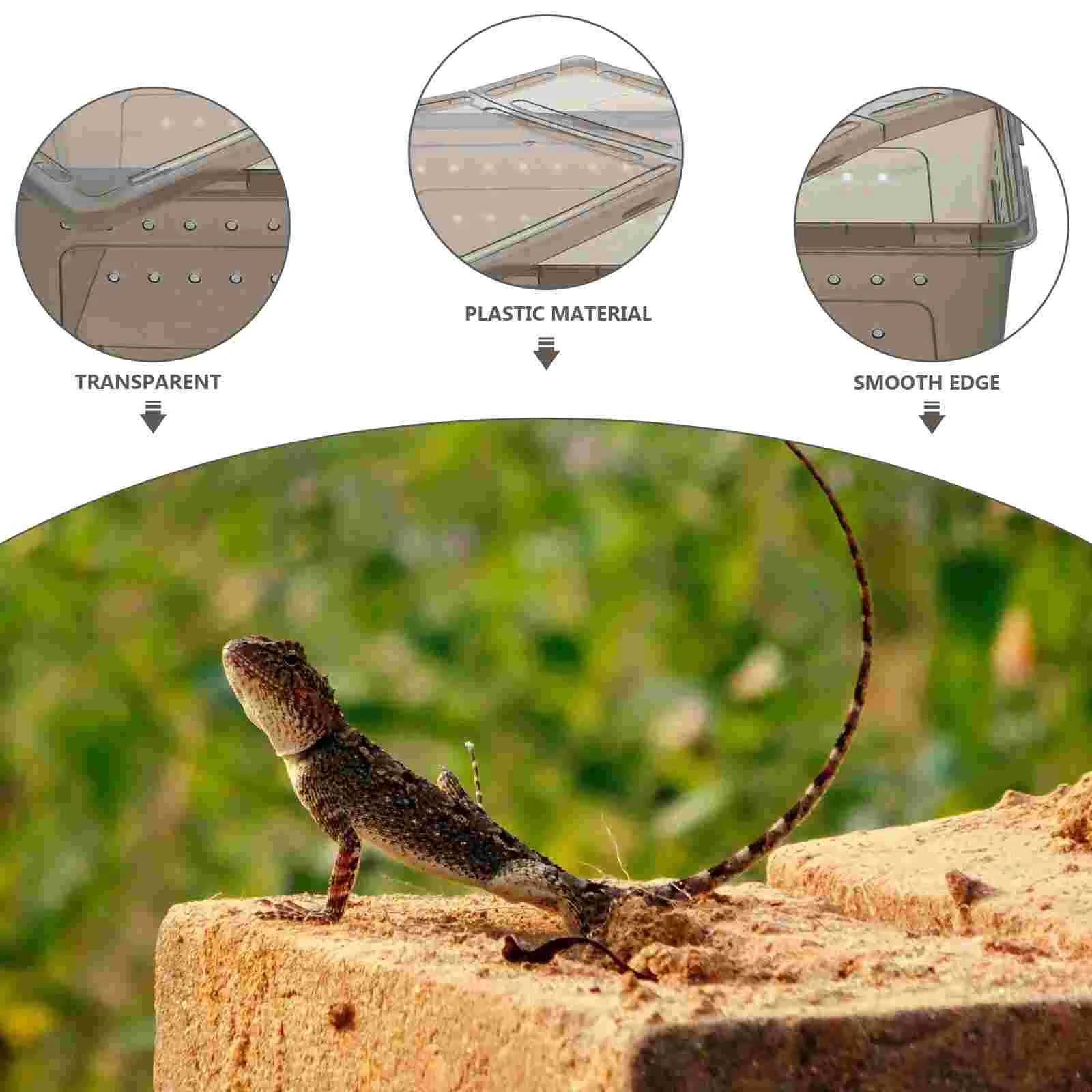 Ящик для кормления животных и рептилий террариум с кормушкой клетка разведения