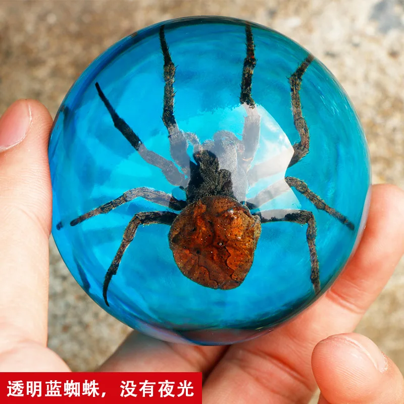 Желаю творческих настоящих образцов насекомых прозрачная смола полусферические