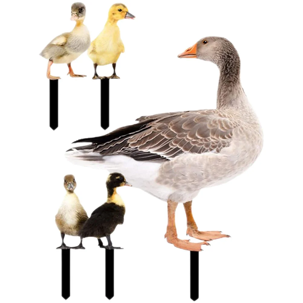 

Sign Duck Stakes Yard Garden Decorative Easter Outdoor Figurines Gnomes Shore Jim Decor Spring Decorations Acrylic Welcome