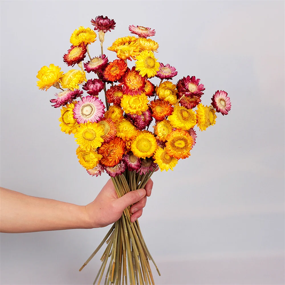 

Натуральные Сушеные соломенные цветы, маргаритки, искусственные цветы подсолнуха для вазы, свадебный стол, фермерский декор, 24 шт.