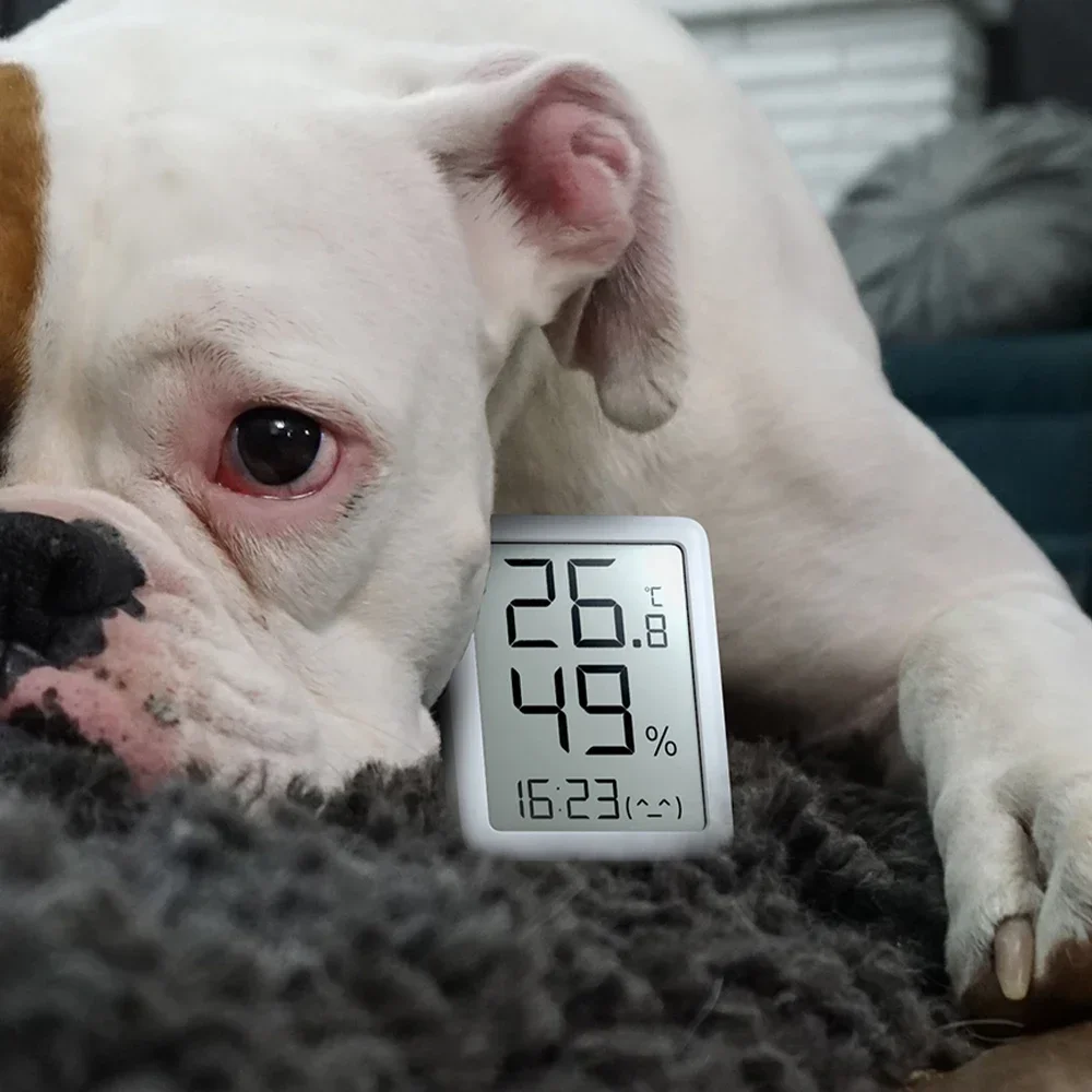 Умный дом Termometro Ultrafino цифровой дисплей E-ink экран большой термометр гигрометр