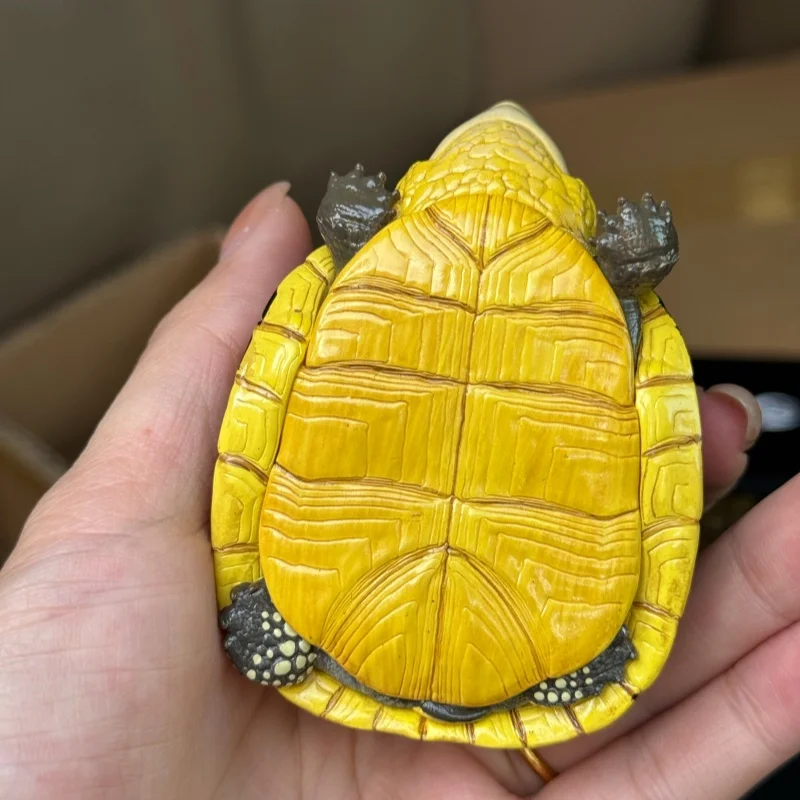 Фото Модель игрушки-черепахи Animal Heavenly Body Terrapene Ornata Carolina Bauri Terrapene Carolina Mexicana Common Box Turtle, подарки №5