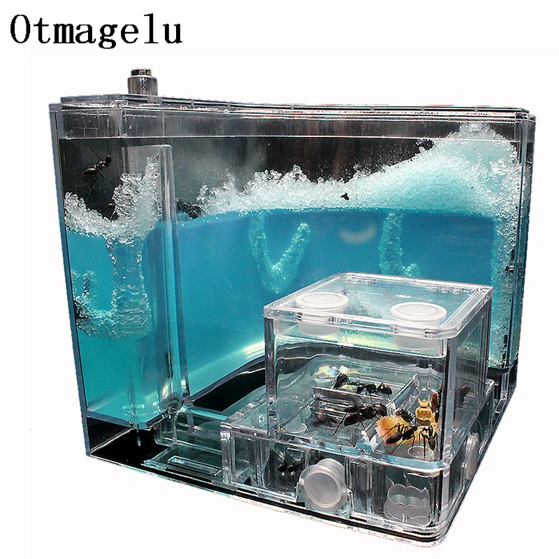 

Ants House Castle Transparent Insect Terrarium Cage For Ants Insects Observation Box Nursery Educational Model Eco-friendly Toy
