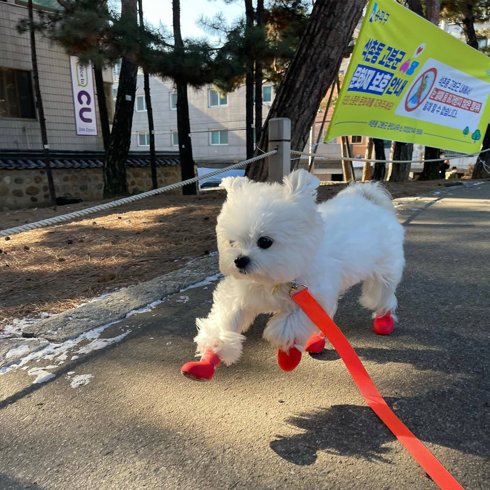 Обувь для собак GULULU силикагелевые носки противоскользящие водонепроницаемые