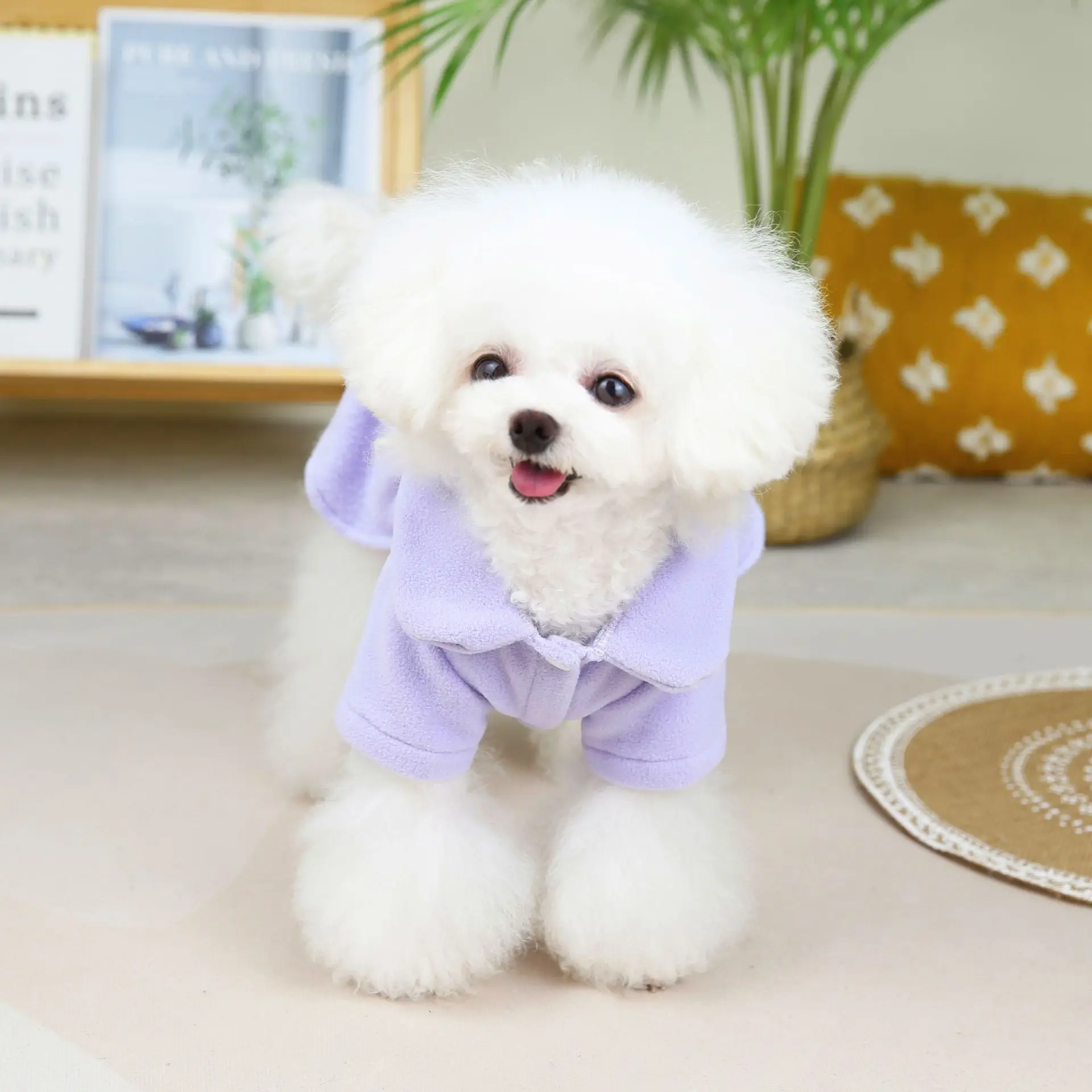 

Pet Clothes Autumn Winter Solid Color Princess Dress Small Dog Coat Fashion Elegant Puppy Harness Girl Cute Skirt Poodle Yorkie