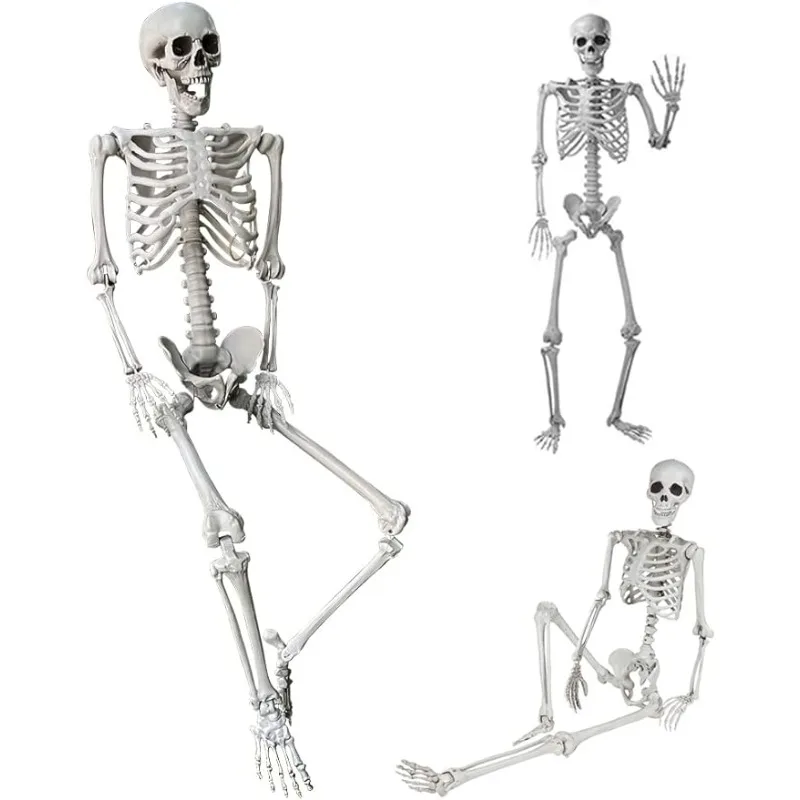 

5.4Ft/165cm Halloween Skeleton Full Body Life Size Human Bones with Movable Joints for Indoor Outdoor Halloween Props Decoration