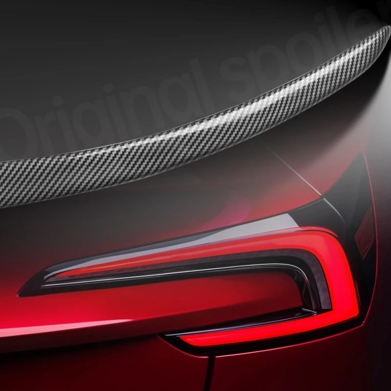 Рисунок 2 - Автомобильные задние крылья для Tesla Model 3 +