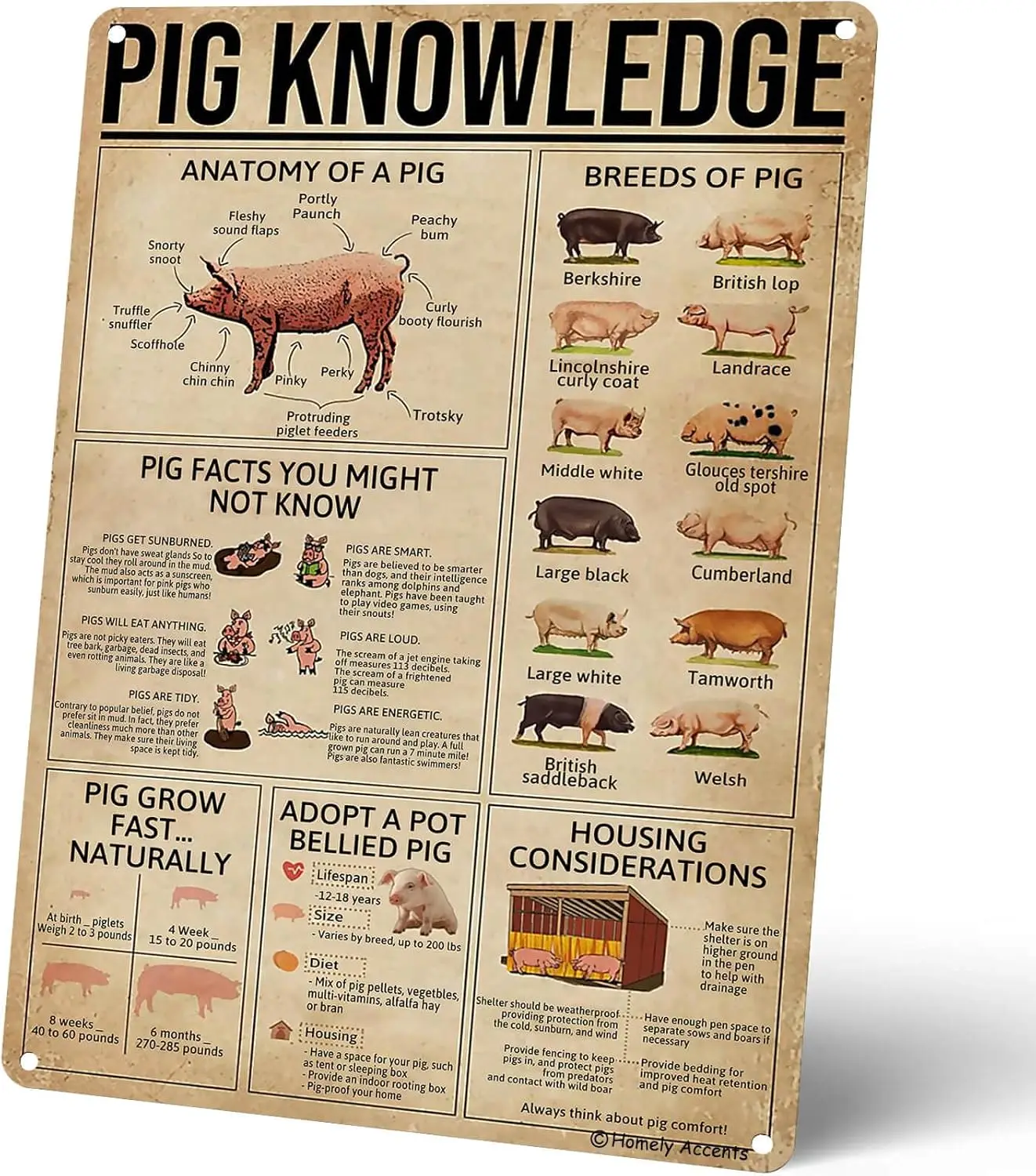 Домашние центы Pg Knowledge Vntge Metl Sgns Eductonl ntomy nd Breeds of Poster Rtc Frmhoe Wll Decor Gft для Frmers Lo